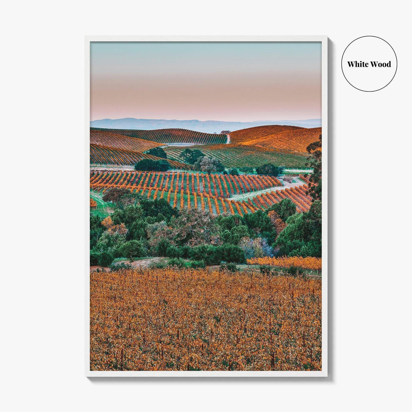 Napa Valley Fine Art Photo Print, Sonoma Valley, California Wine Country Poster