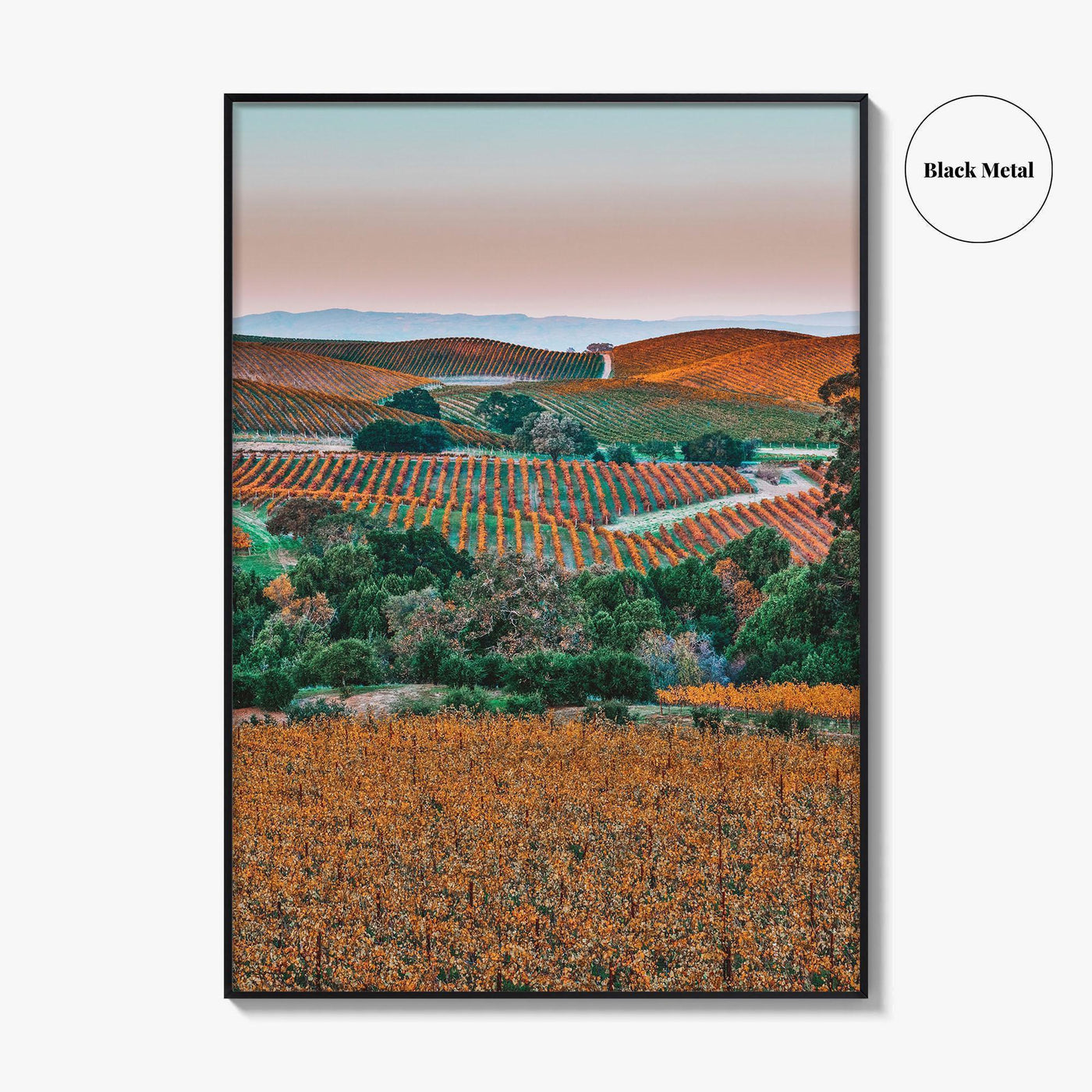 Napa Valley Fine Art Photo Print, Sonoma Valley, California Wine Country Poster