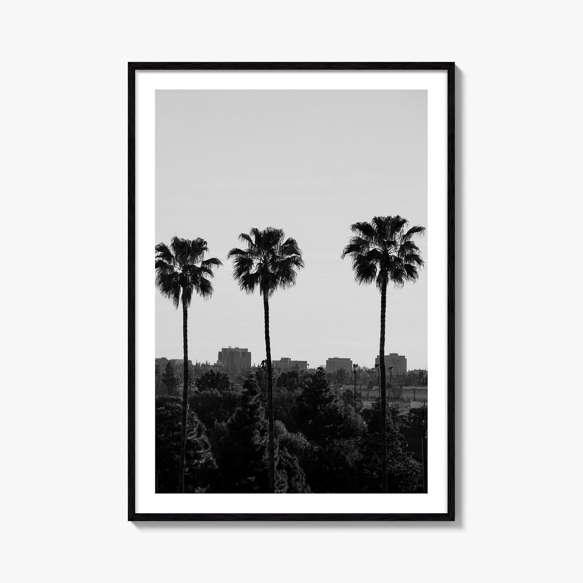 Anaheim Skyline Black and White Fine Art Photo Print, Orange County Poster, California Poster