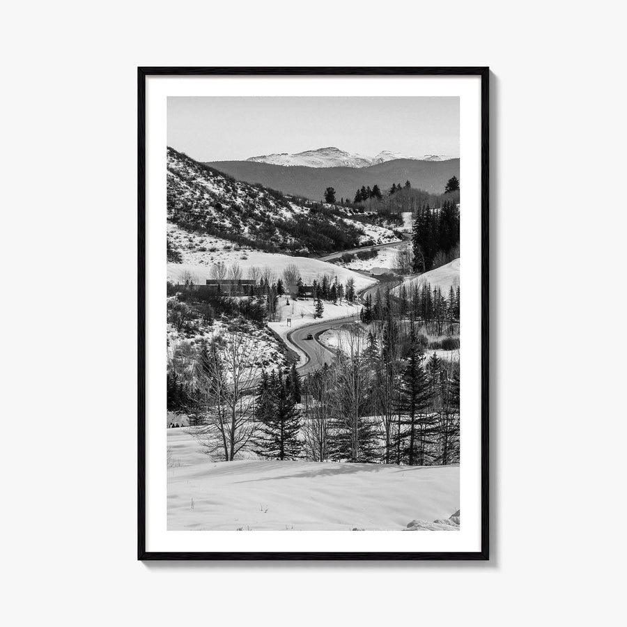 Aspen Black and White Fine Art Photo Print, Colorado Rocky Mountains Snow Poster