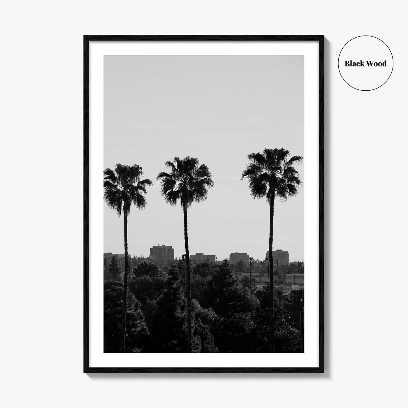 Anaheim Skyline Black and White Fine Art Photo Print, Orange County Poster, California Poster