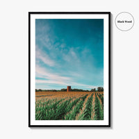 Iowa Fine Art Photo Print, Cornfield Silo Wall Decor Poster, Midwest USA