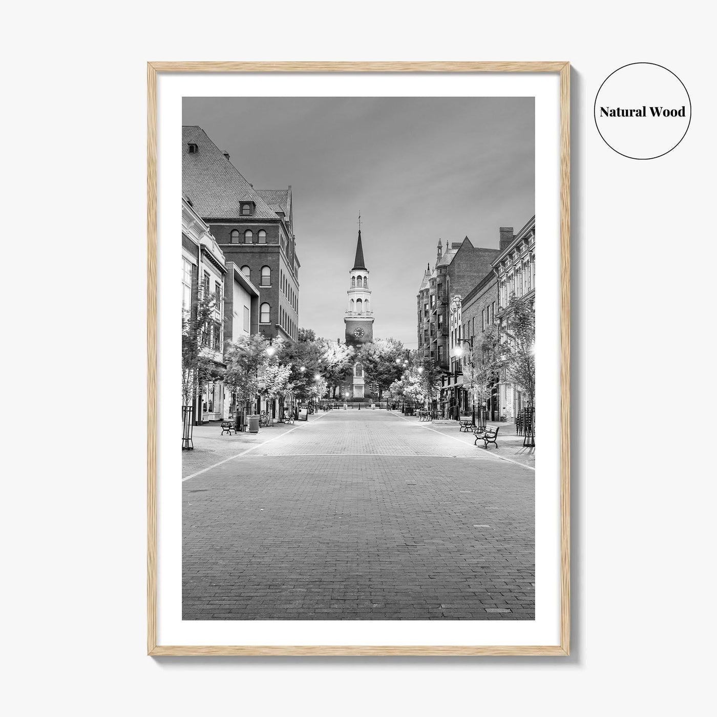 Burlington Black and White Fine Art Photo Print, Vermont, Church Street Marketplace, Poster