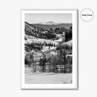 Aspen Black and White Fine Art Photo Print, Colorado Rocky Mountains Snow Poster