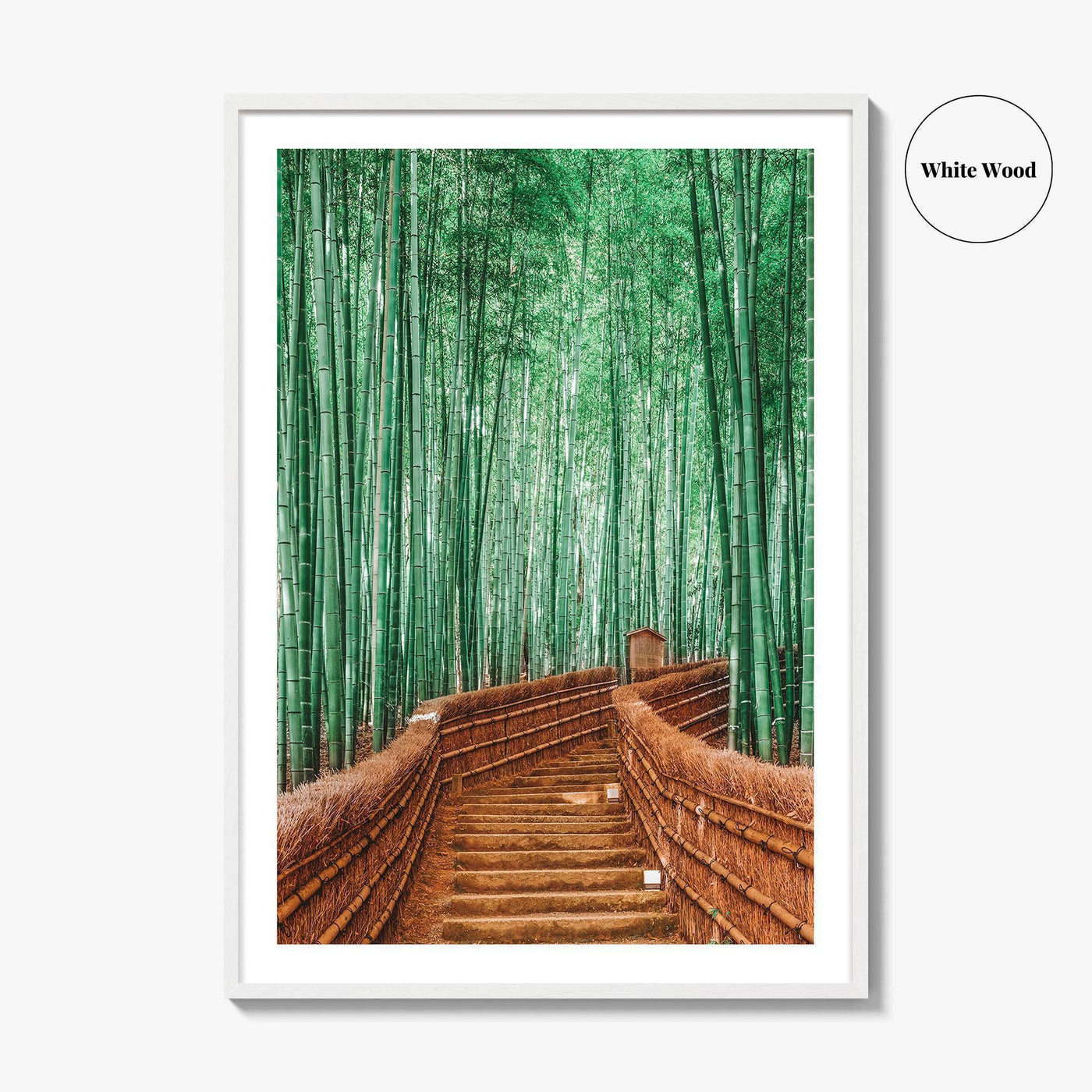 Kyoto, Japan Fine Art Photo Print, Arashiyama Bamboo Forest, Wall Decor Poster