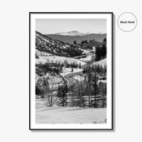 Aspen Black and White Fine Art Photo Print, Colorado Rocky Mountains Snow Poster