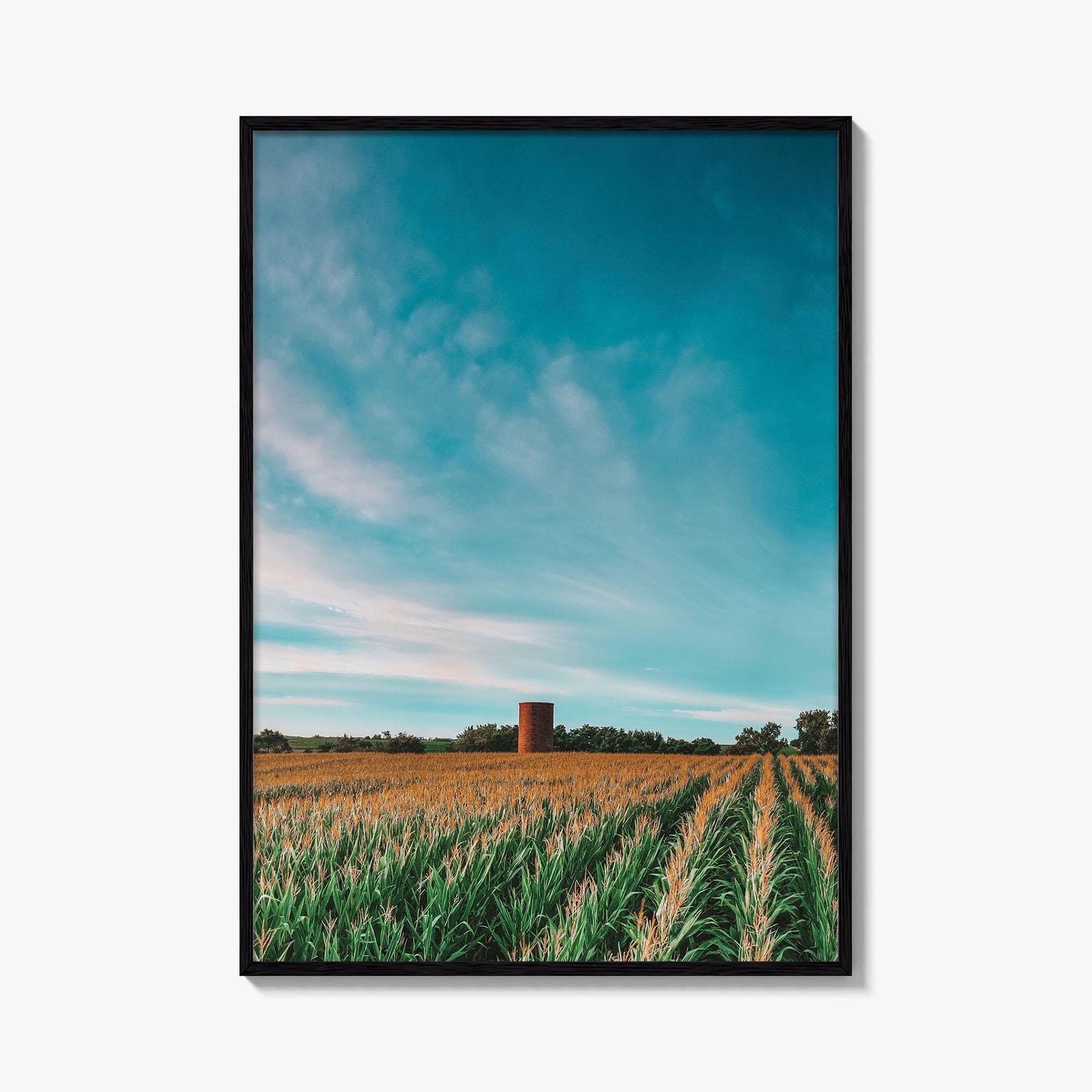 Iowa Fine Art Photo Print, Cornfield Silo Wall Decor Poster, Midwest USA