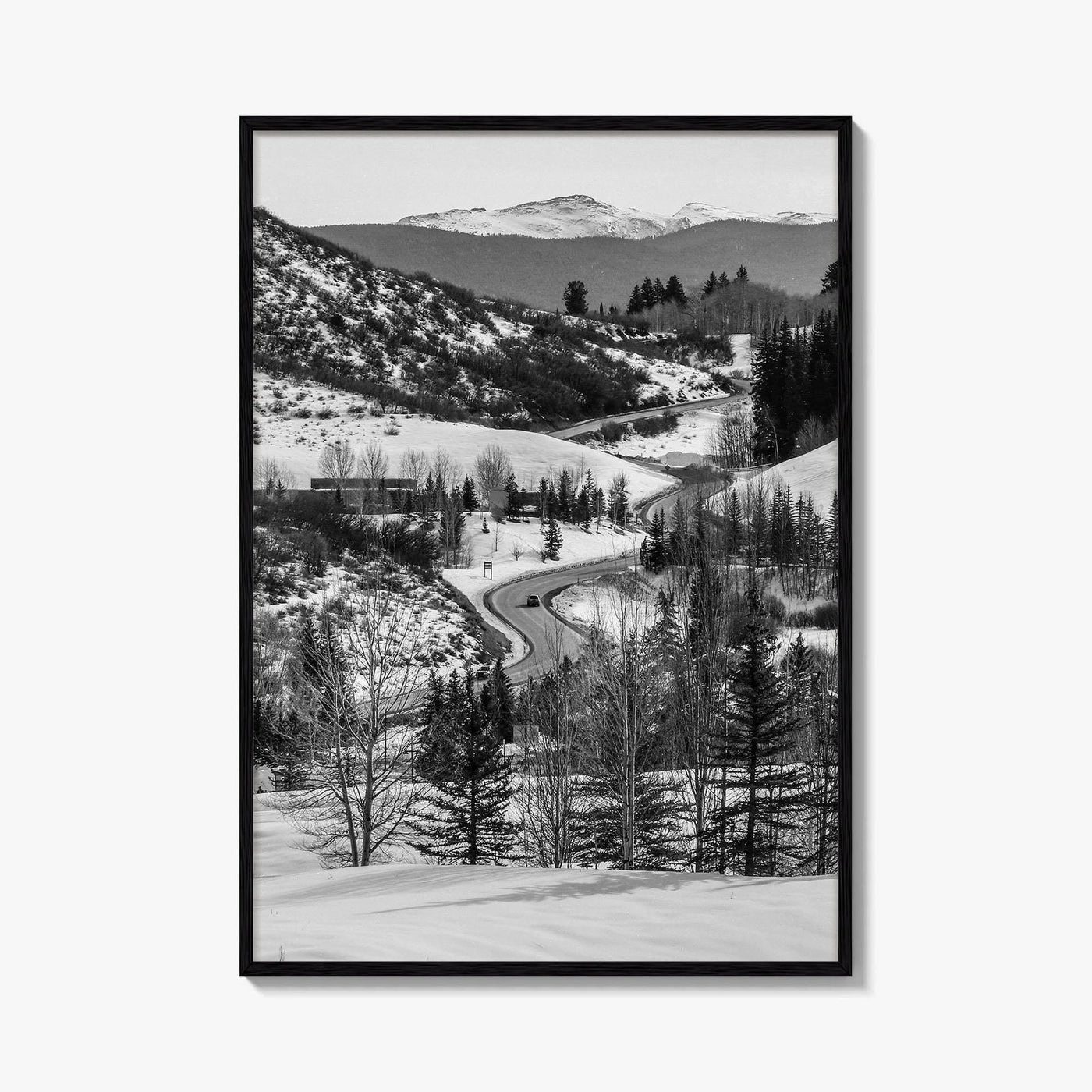 Aspen Black and White Fine Art Photo Print, Colorado Rocky Mountains Snow Poster