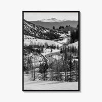 Aspen Black and White Fine Art Photo Print, Colorado Rocky Mountains Snow Poster