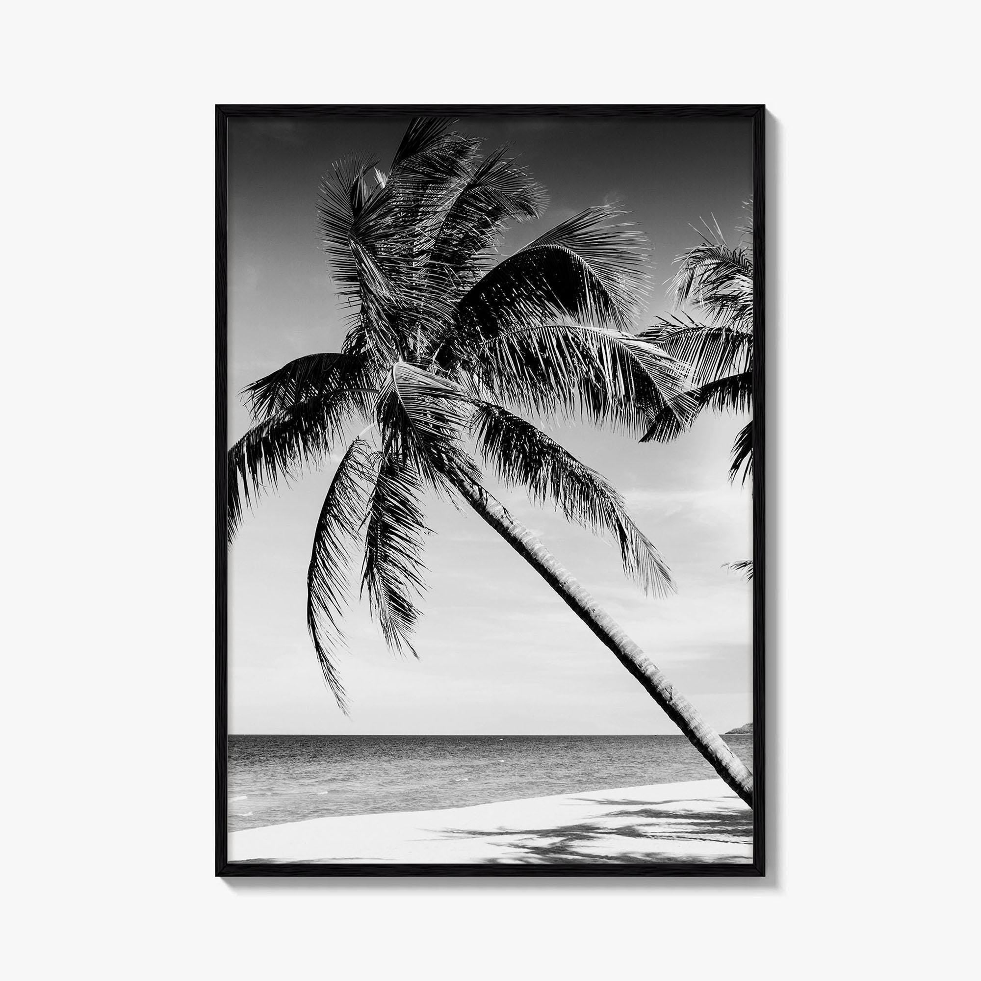 Thailand Black and White Fine Art Photo Print, Tropical Beach Wall Decor Poster