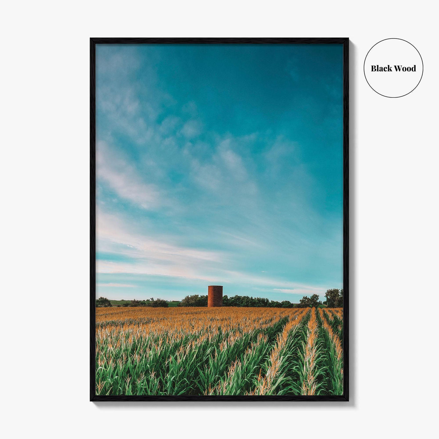 Iowa Fine Art Photo Print, Cornfield Silo Wall Decor Poster, Midwest USA