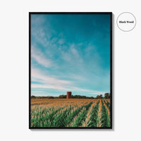 Iowa Fine Art Photo Print, Cornfield Silo Wall Decor Poster, Midwest USA