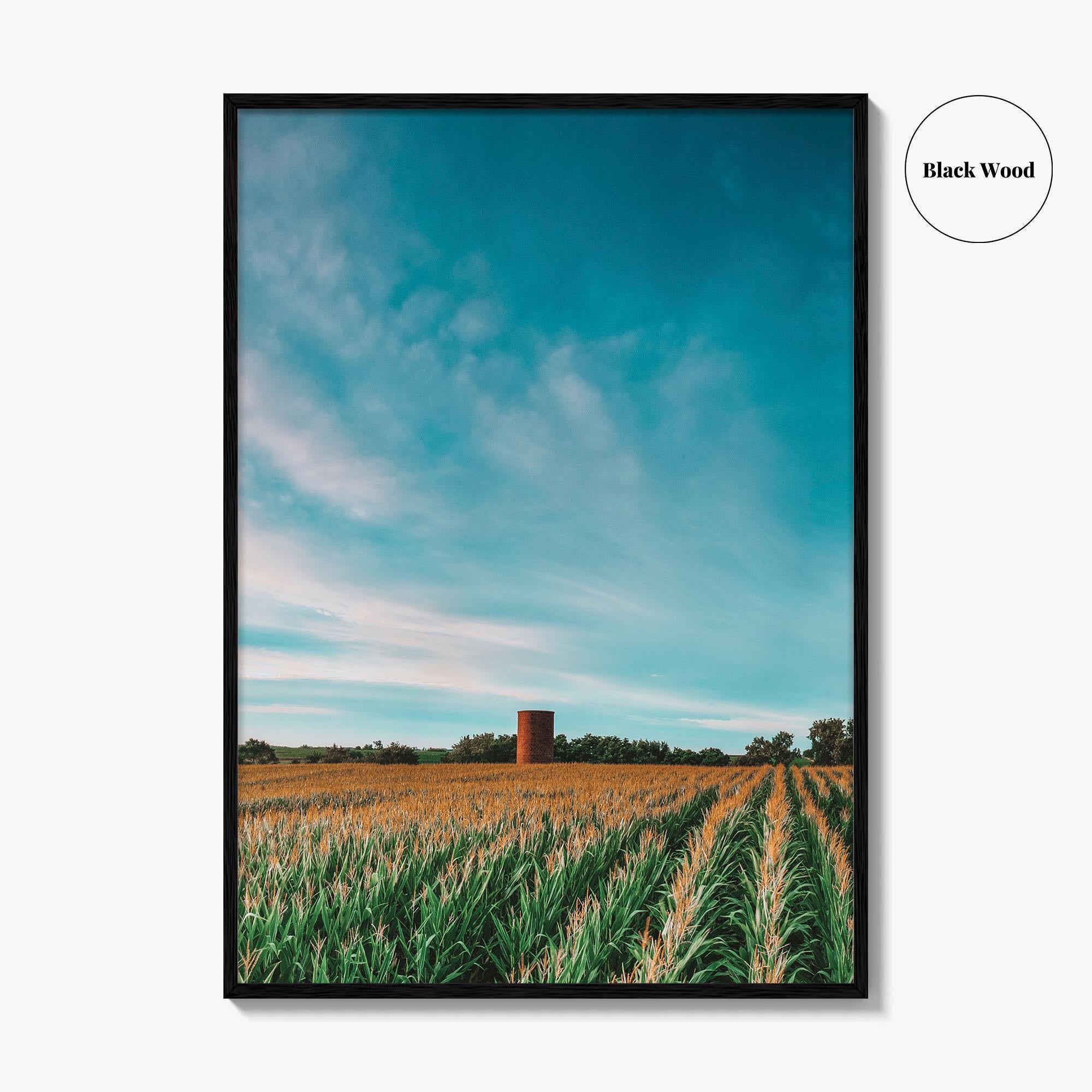 Iowa Fine Art Photo Print, Cornfield Silo Wall Decor Poster, Midwest USA