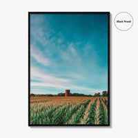 Iowa Fine Art Photo Print, Cornfield Silo Wall Decor Poster, Midwest USA