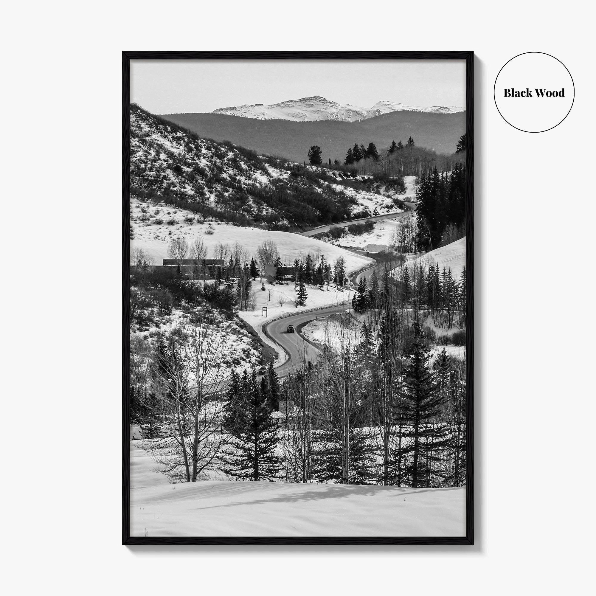 Aspen Black and White Fine Art Photo Print, Colorado Rocky Mountains Snow Poster