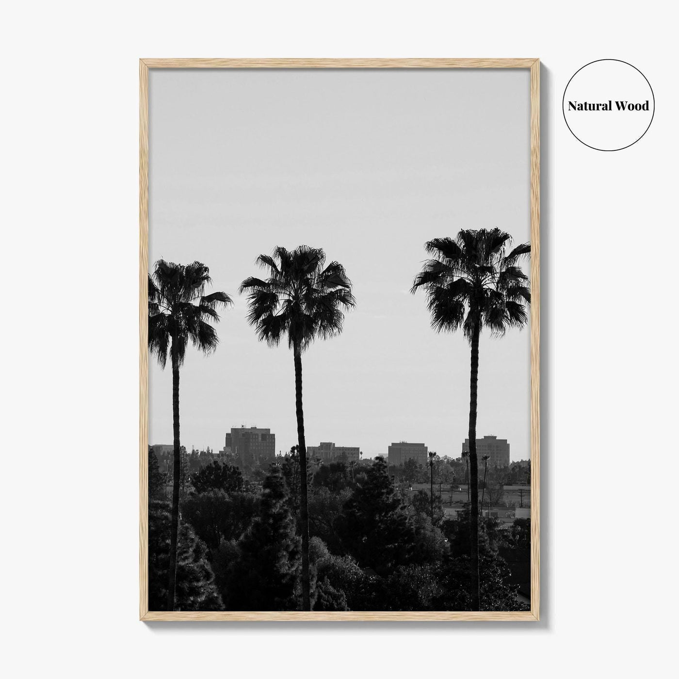 Anaheim Skyline Black and White Fine Art Photo Print, Orange County Poster, California Poster
