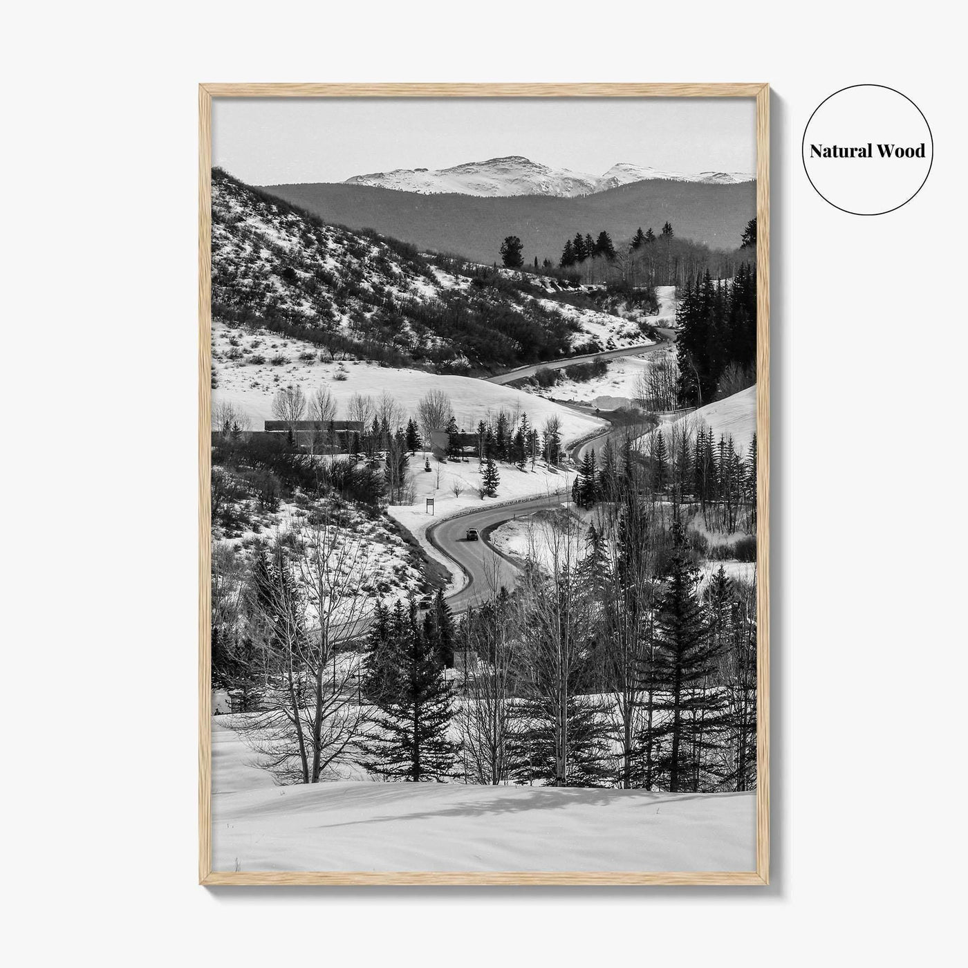 Aspen Black and White Fine Art Photo Print, Colorado Rocky Mountains Snow Poster