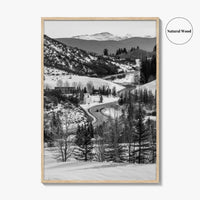 Aspen Black and White Fine Art Photo Print, Colorado Rocky Mountains Snow Poster