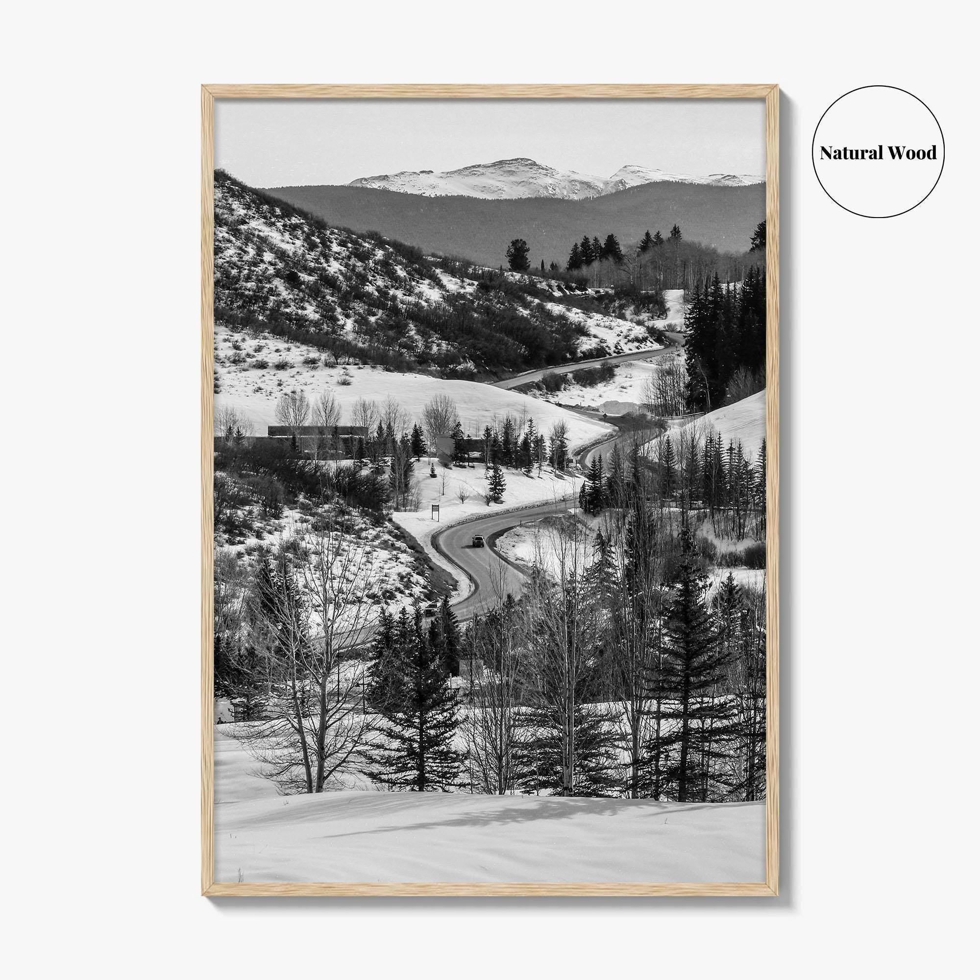 Aspen Black and White Fine Art Photo Print, Colorado Rocky Mountains Snow Poster
