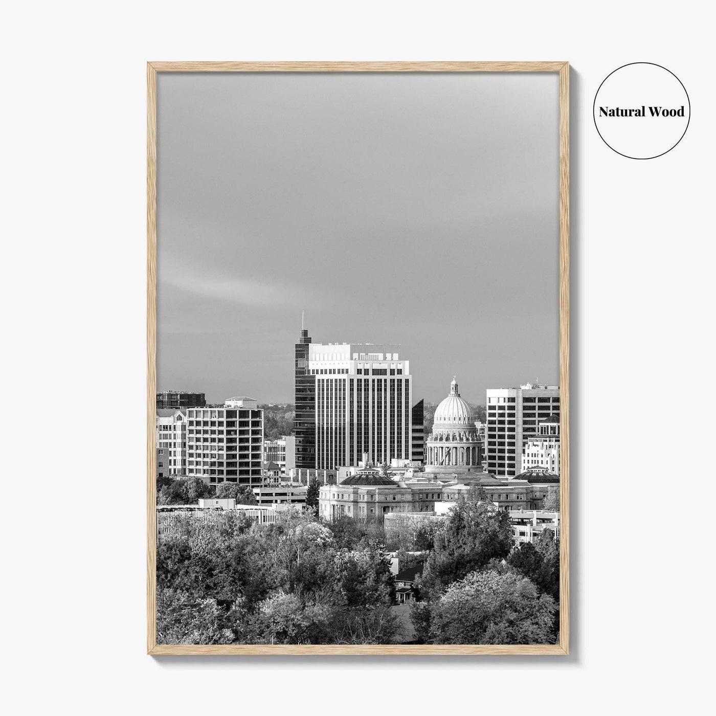 Boise Idaho Skyline Black and White Fine Art Photo Print, USA Wall Poster