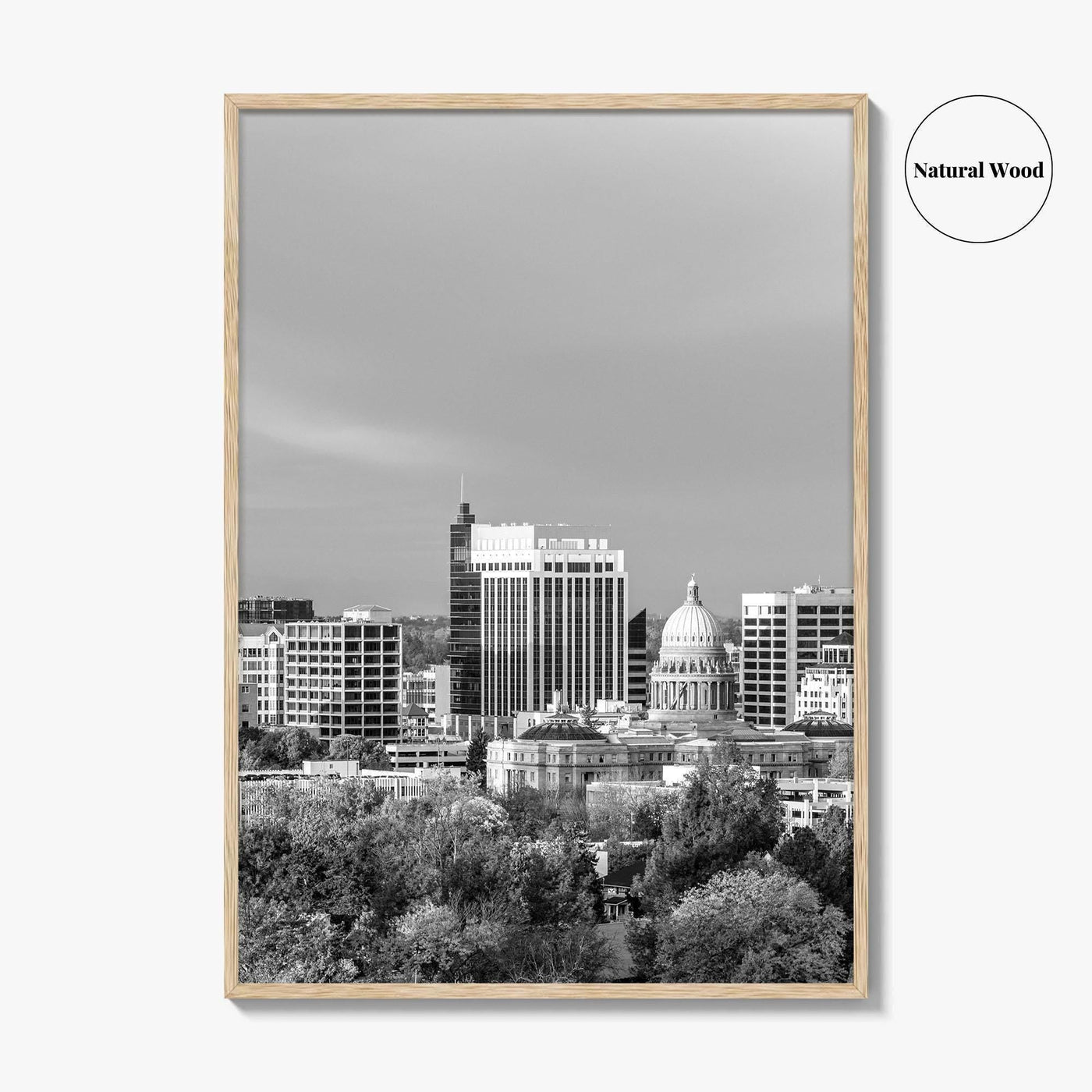 Boise Idaho Skyline Black and White Fine Art Photo Print, USA Wall Poster