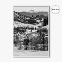 Aspen Black and White Fine Art Photo Print, Colorado Rocky Mountains Snow Poster