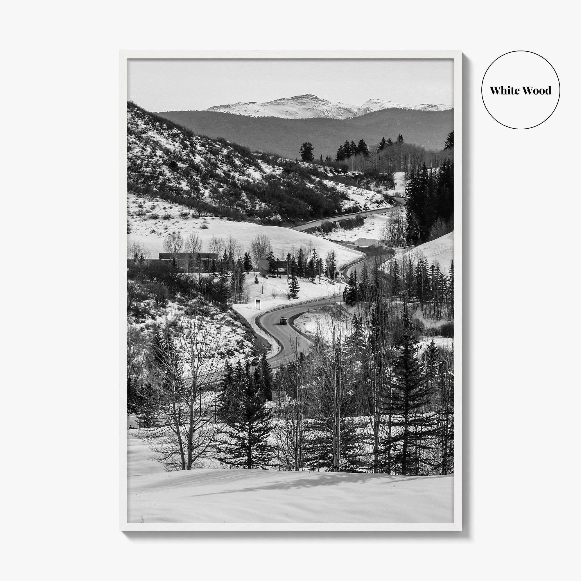 Aspen Black and White Fine Art Photo Print, Colorado Rocky Mountains Snow Poster