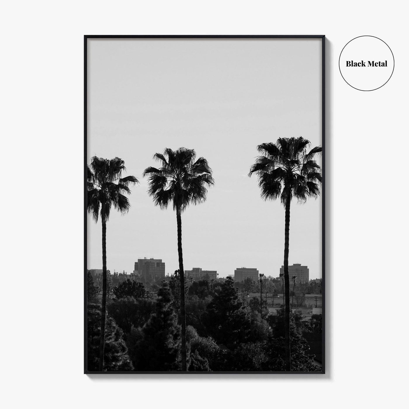 Anaheim Skyline Black and White Fine Art Photo Print, Orange County Poster, California Poster