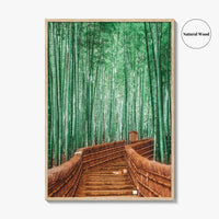 Kyoto, Japan Fine Art Photo Print, Arashiyama Bamboo Forest, Wall Decor Poster