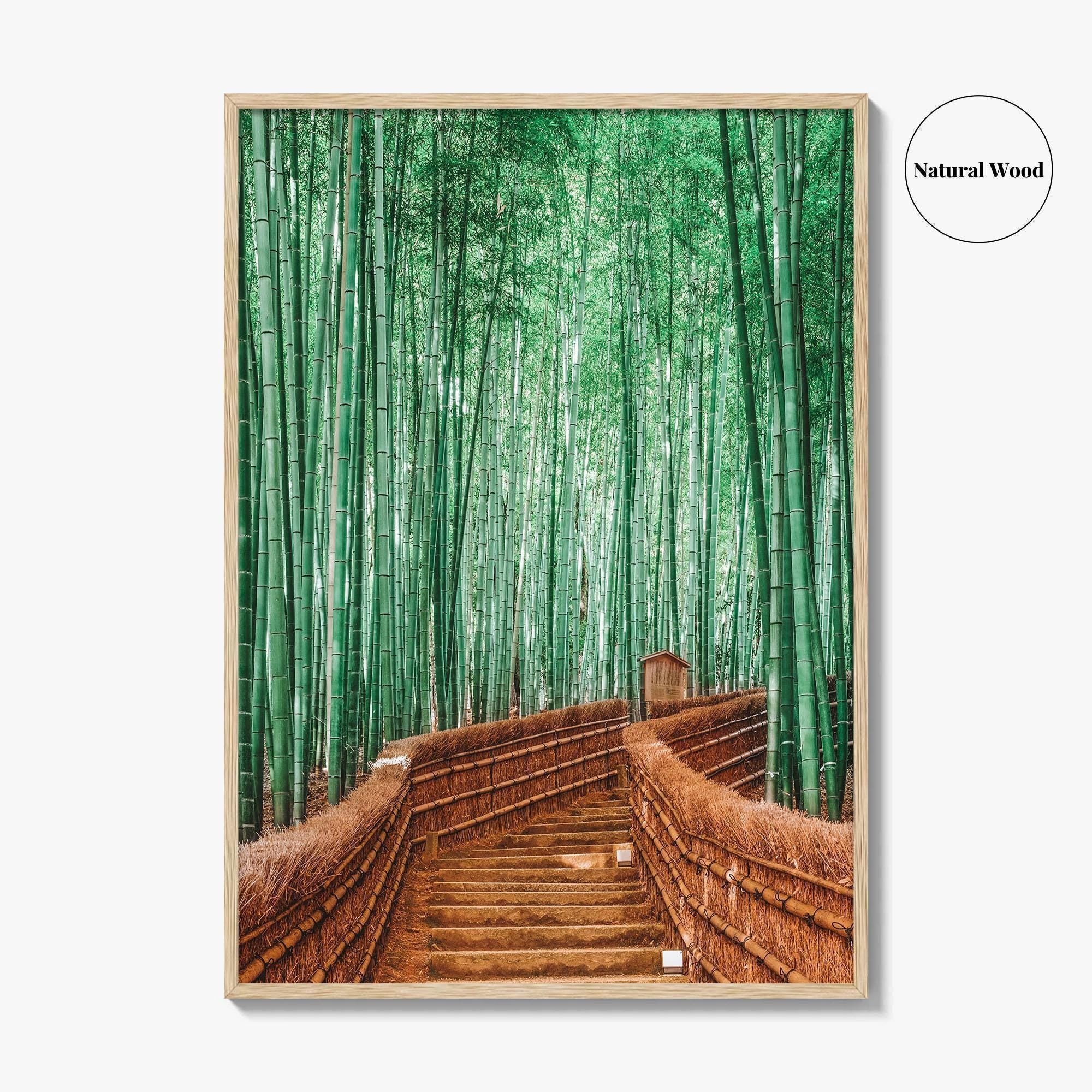 Kyoto, Japan Fine Art Photo Print, Arashiyama Bamboo Forest, Wall Decor Poster