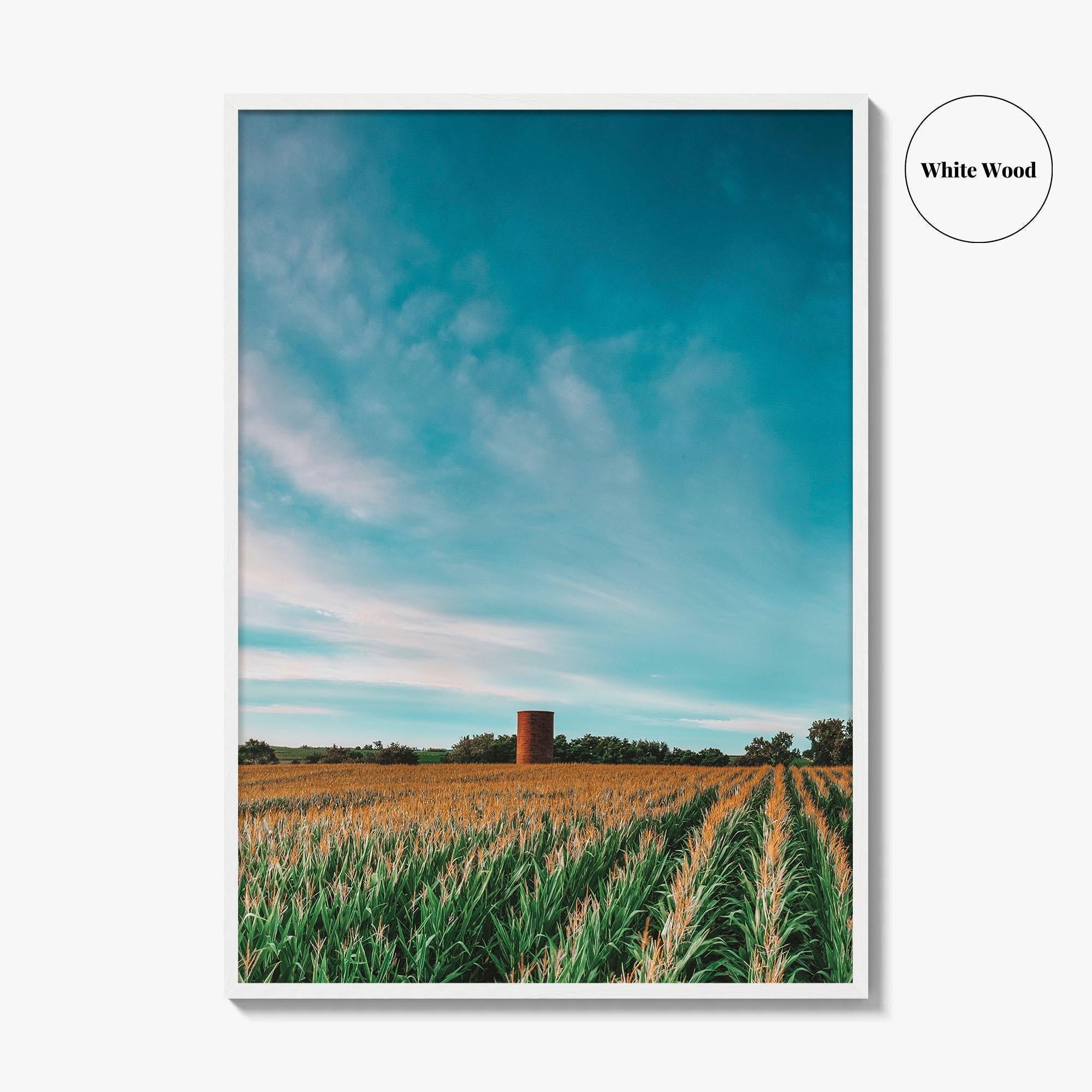 Iowa Fine Art Photo Print, Cornfield Silo Wall Decor Poster, Midwest USA
