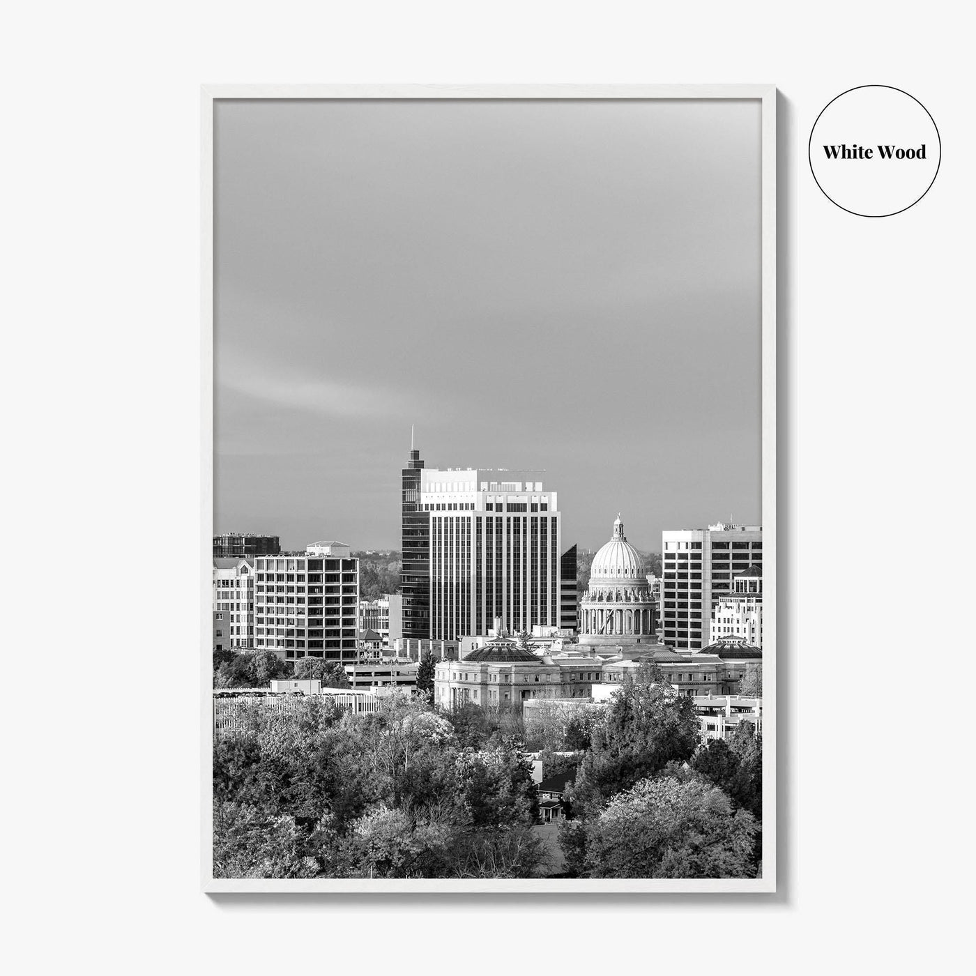 Boise Idaho Skyline Black and White Fine Art Photo Print, USA Wall Poster