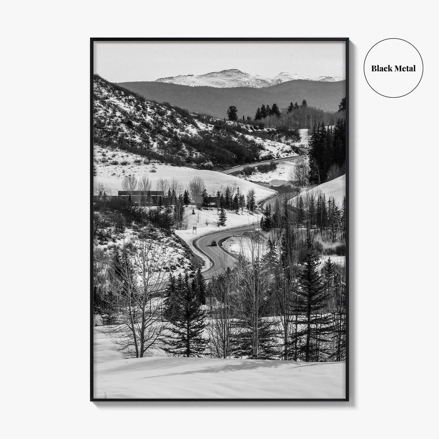 Aspen Black and White Fine Art Photo Print, Colorado Rocky Mountains Snow Poster