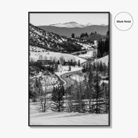 Aspen Black and White Fine Art Photo Print, Colorado Rocky Mountains Snow Poster