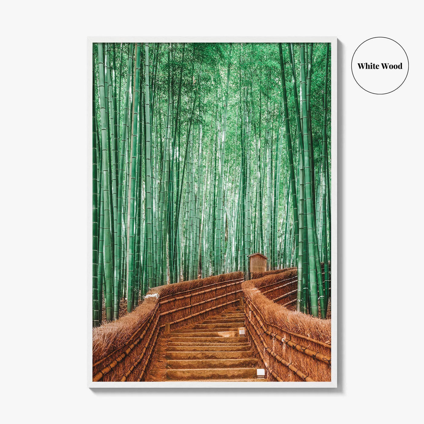 Kyoto, Japan Fine Art Photo Print, Arashiyama Bamboo Forest, Wall Decor Poster