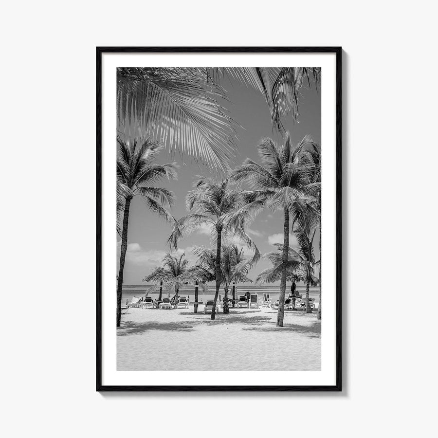 Aruba Black and White Fine Art Photo Print, Palm Beach Caribbean Poster, Island