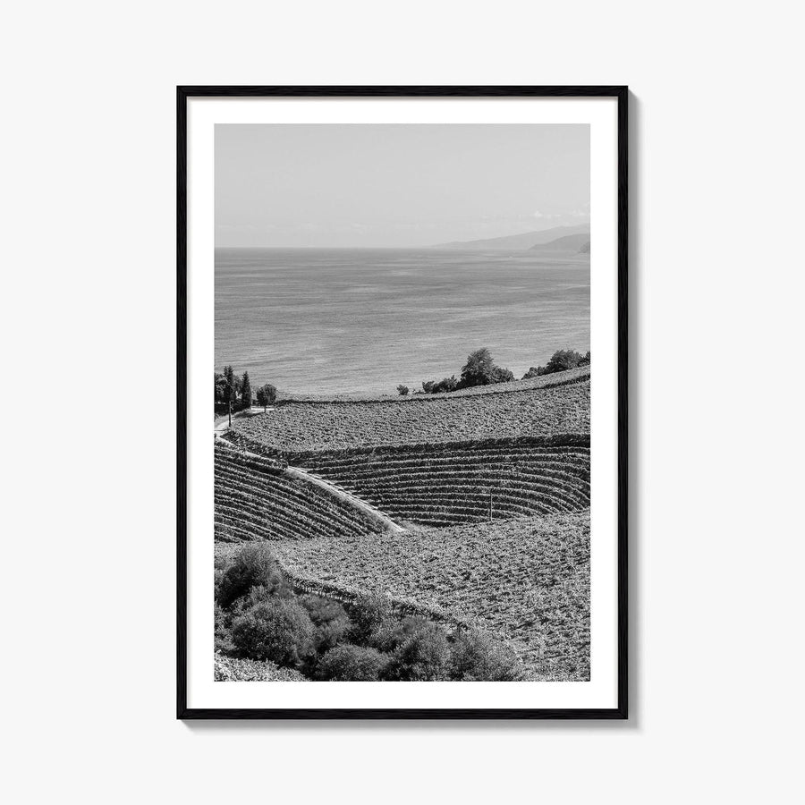 Getaria Black and White Fine Art Photo Print, Basque Country Spain, Vineyard Wall Art
