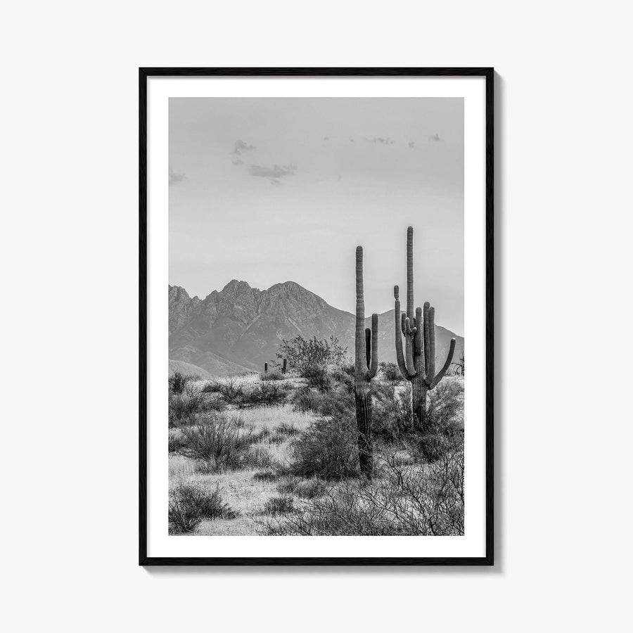 Four Peaks Arizona Skyline Black and White Fine Art Photo Print, Phoenix, Wall Poster