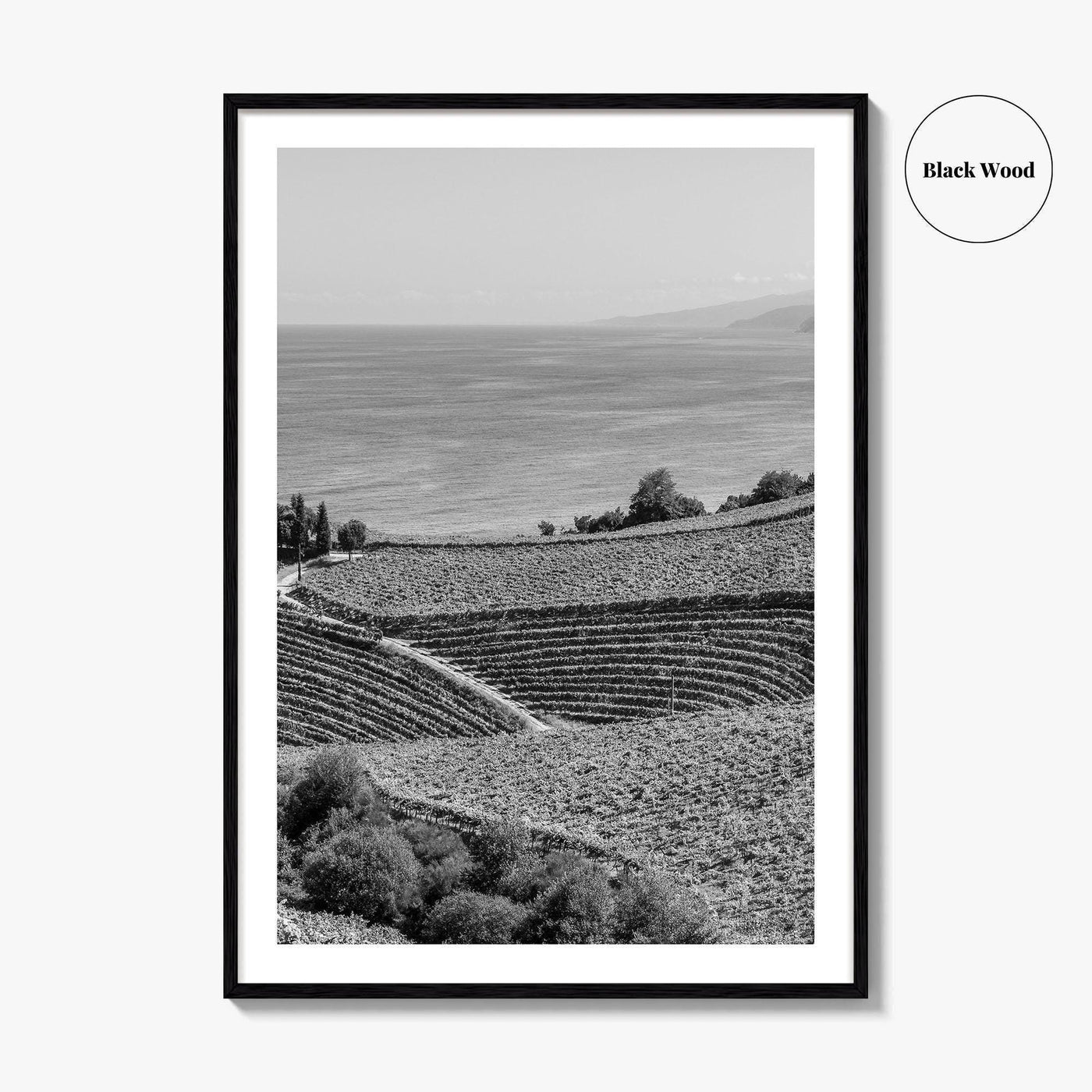 Getaria Black and White Fine Art Photo Print, Basque Country Spain, Vineyard Wall Art