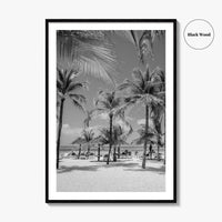Aruba Black and White Fine Art Photo Print, Palm Beach Caribbean Poster, Island
