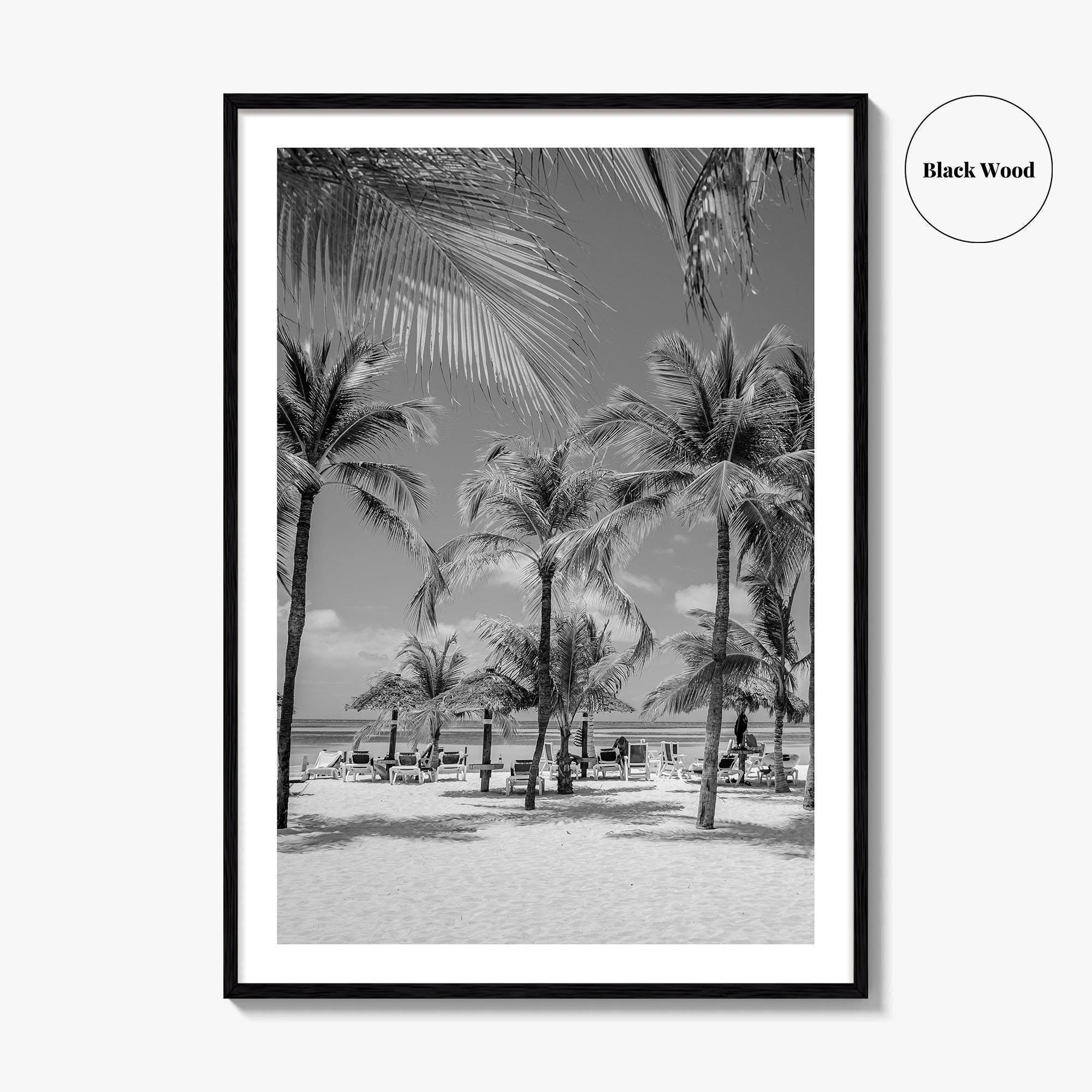 Aruba Black and White Fine Art Photo Print, Palm Beach Caribbean Poster, Island