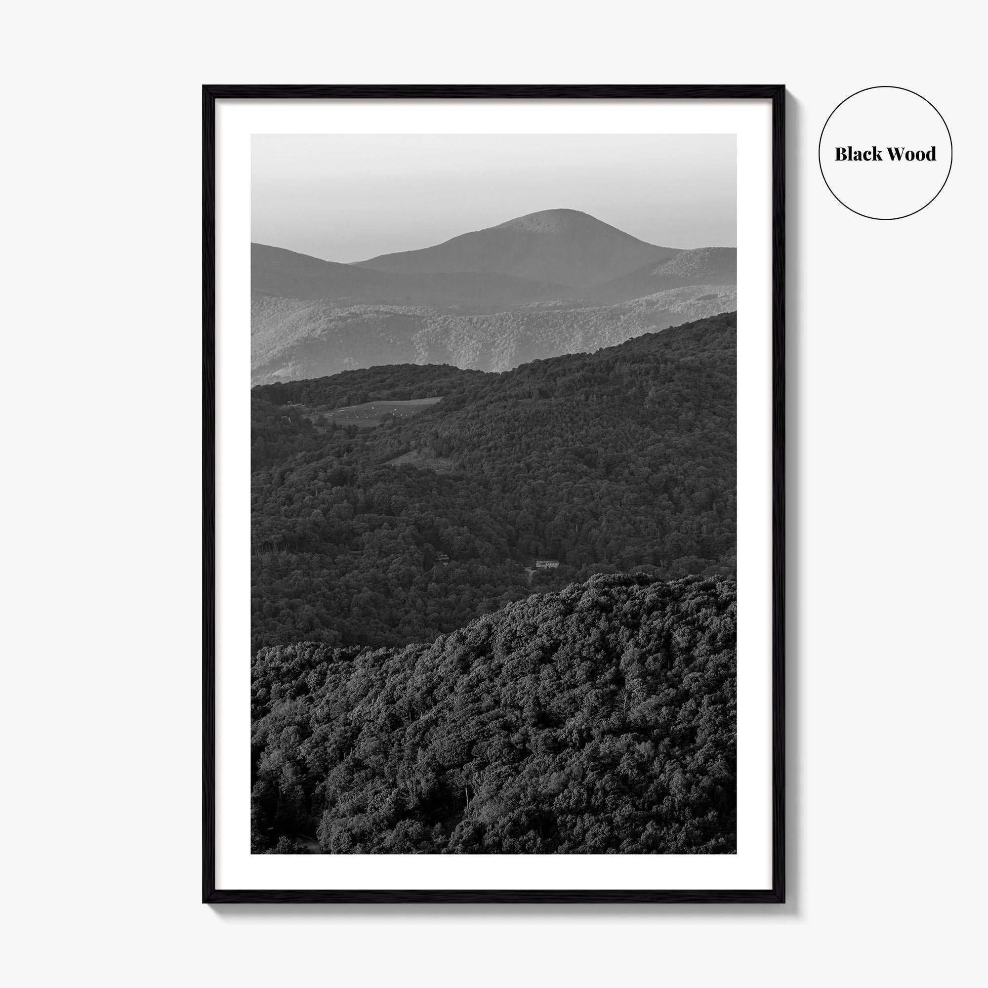 Blue Ridge Black and White Fine Art Photo Print, North Carolina, Appalachia Poster