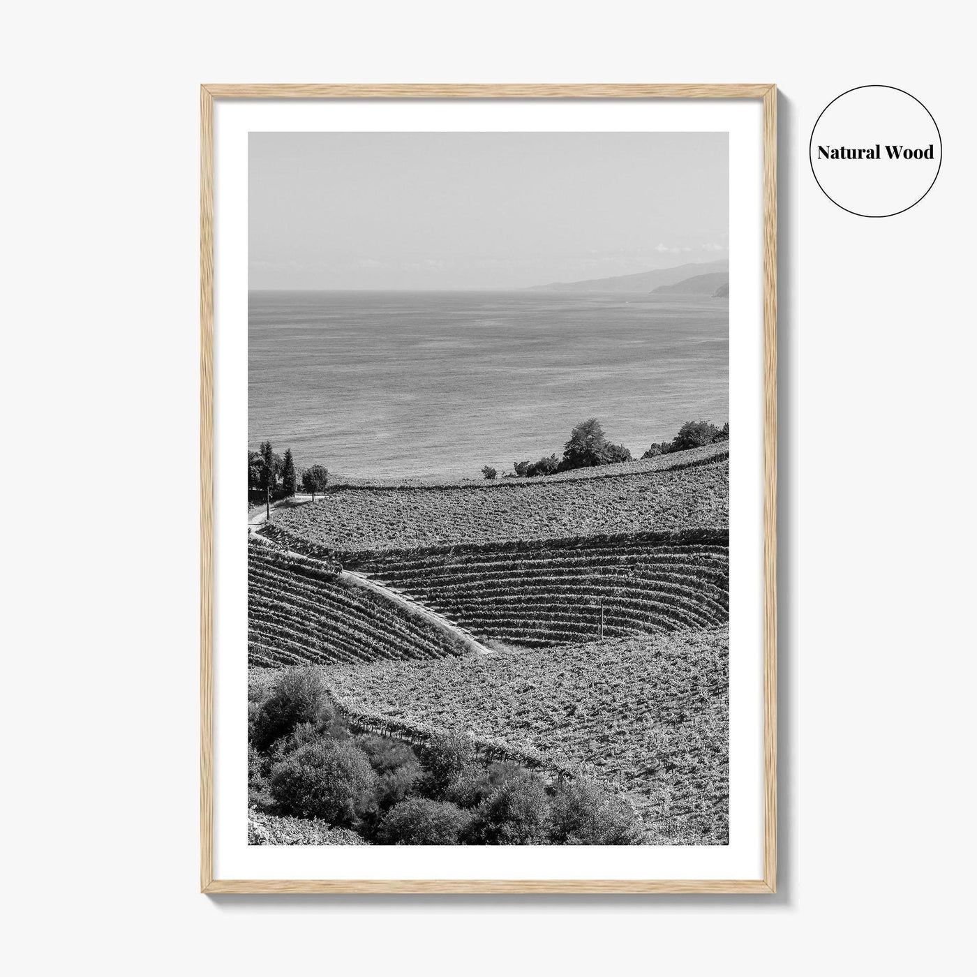 Getaria Black and White Fine Art Photo Print, Basque Country Spain, Vineyard Wall Art