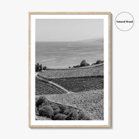 Getaria Black and White Fine Art Photo Print, Basque Country Spain, Vineyard Wall Art