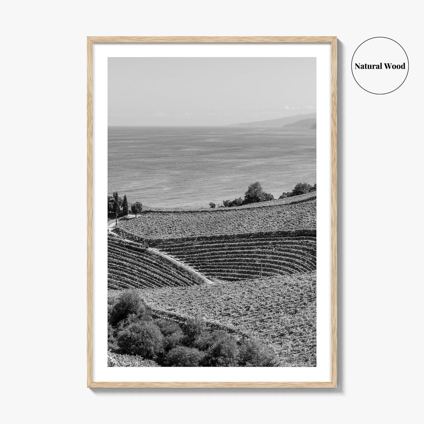 Getaria Black and White Fine Art Photo Print, Basque Country Spain, Vineyard Wall Art