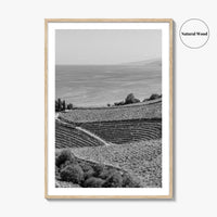 Getaria Black and White Fine Art Photo Print, Basque Country Spain, Vineyard Wall Art