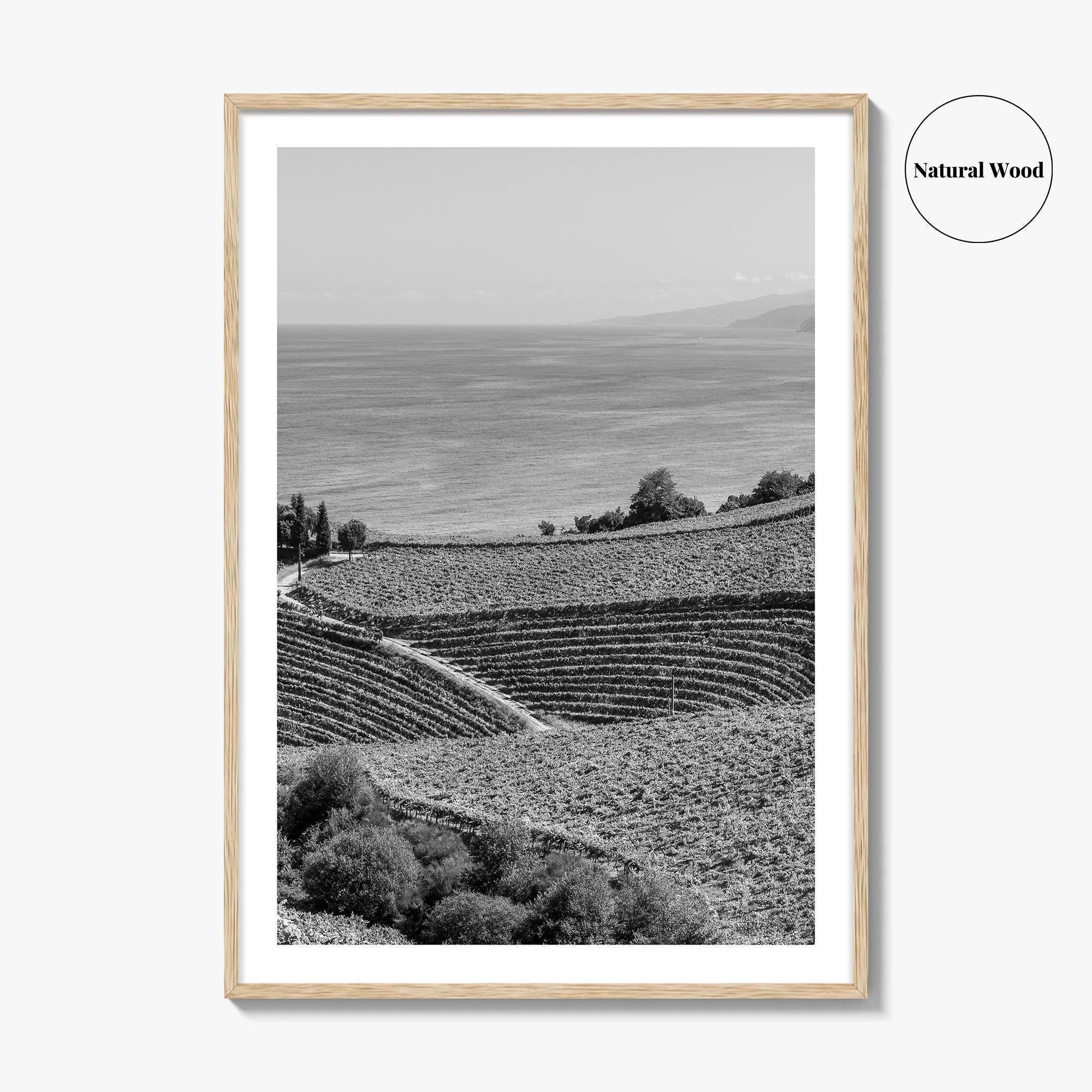 Getaria Black and White Fine Art Photo Print, Basque Country Spain, Vineyard Wall Art
