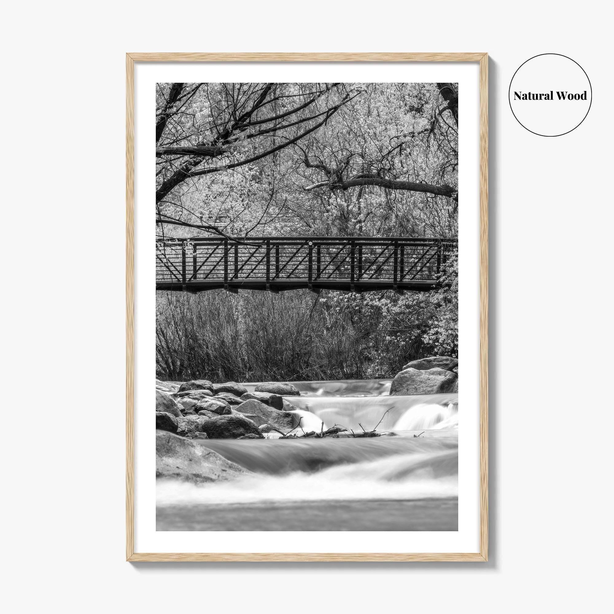 Boulder Creek Black and White Fine Art Photo Print, Colorado USA Poster
