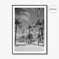 Aruba Black and White Fine Art Photo Print, Palm Beach Caribbean Poster, Island