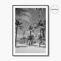 Aruba Black and White Fine Art Photo Print, Palm Beach Caribbean Poster, Island